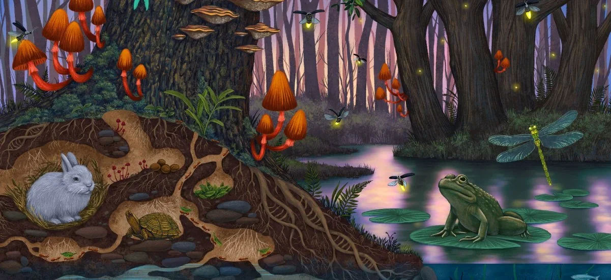 A vibrant forest scene with fungi, a water rabbit, turtles underground, flying insects, a frog on a lily pad, and a misty river.
